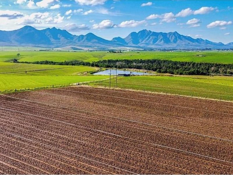 MINING AND FARMING COMBINED - Photo 9