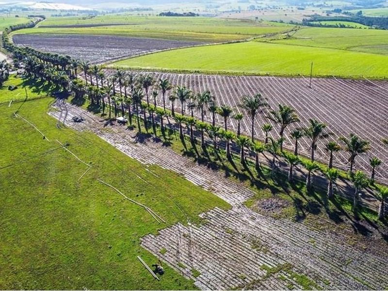 MINING AND FARMING COMBINED - Photo 10