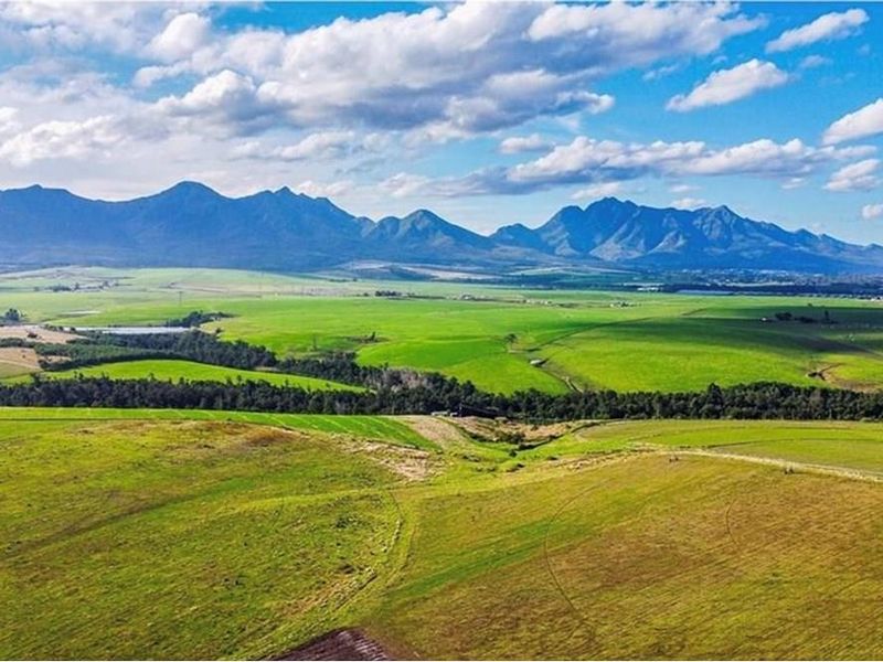 MINING AND FARMING COMBINED - Photo 7