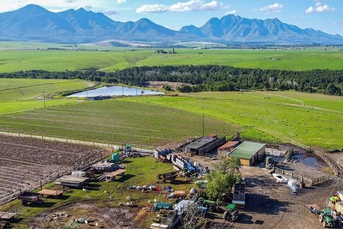 FARM LIVING WITH MINIG POTENTIAL - Photo 4