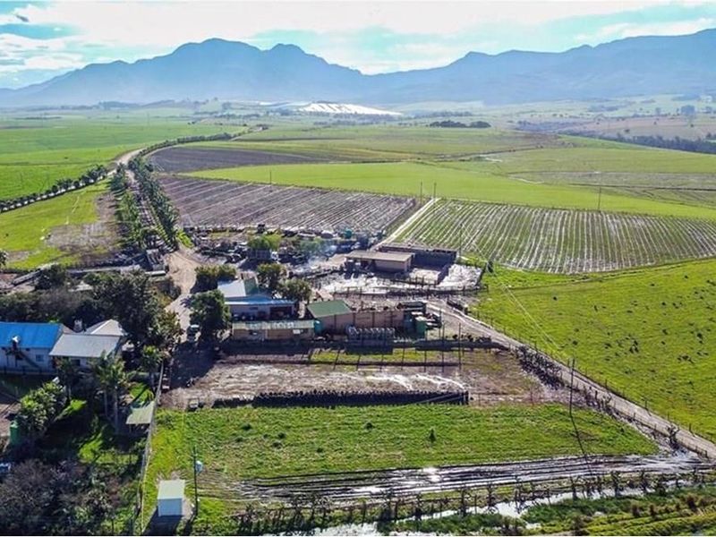 MINING AND FARMING COMBINED - Photo 2