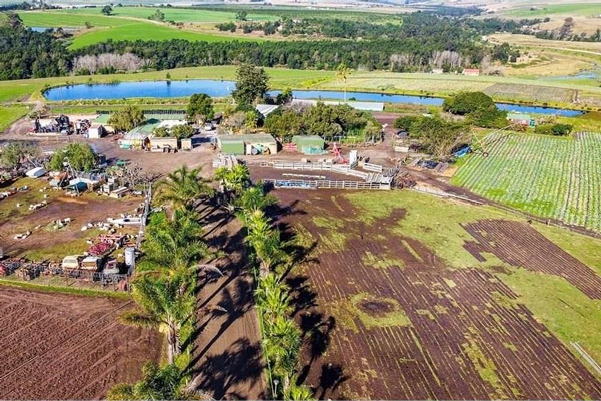 FARM LIVING WITH MINIG POTENTIAL - Photo 3