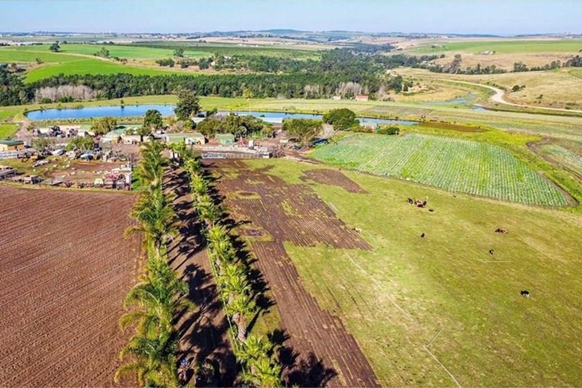 FARM LIVING WITH MINIG POTENTIAL - Photo 5