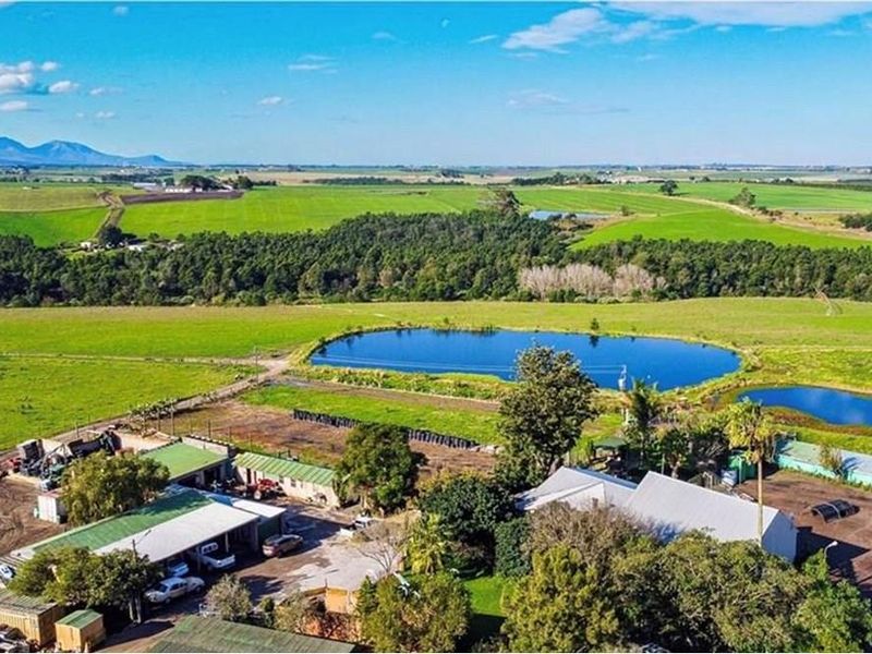 Aerial view of a farm property featuring multiple outbuildings, paved yard areas, and two large farm dams surrounded by expansive green fields.