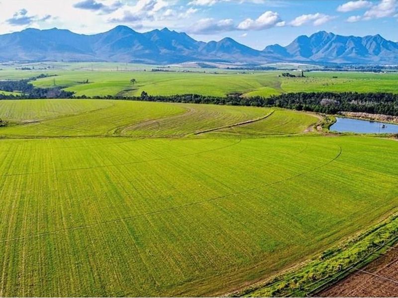 FARM LIVING WITH MINIG POTENTIAL - Photo 8