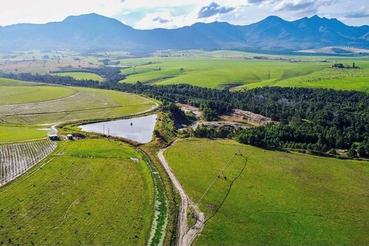 Aerial view of expansive farm land featuring an irrigation dam, rolling green pastures, and scenic mountain views in the distance.