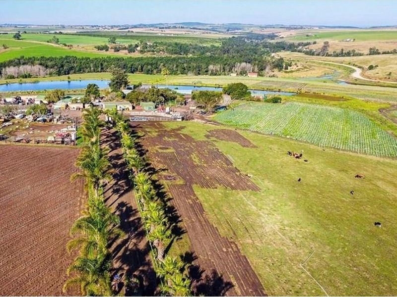 FARM LIVING WITH MINIG POTENTIAL - Photo 5