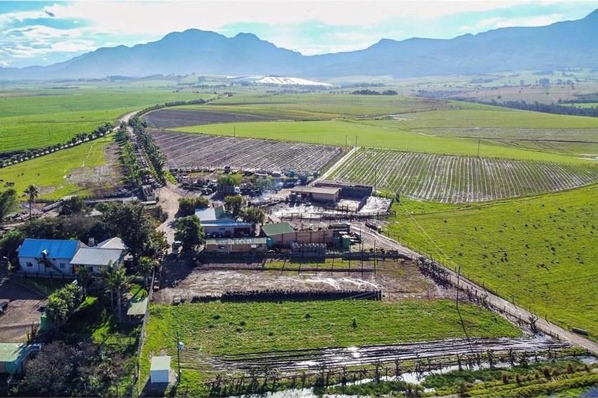 Aerial view of a large farm property featuring multiple outbuildings, agricultural fields, and surrounding rural landscape.