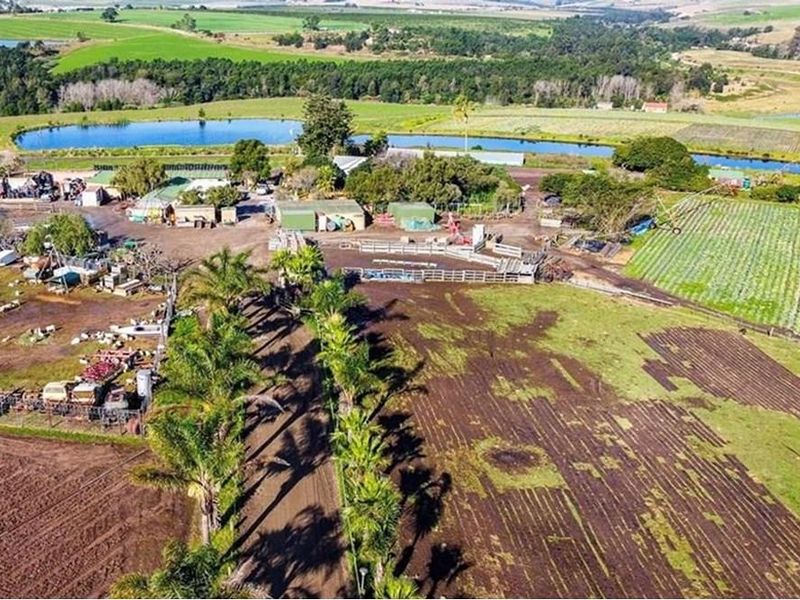 FARM LIVING WITH MINIG POTENTIAL - Photo 3