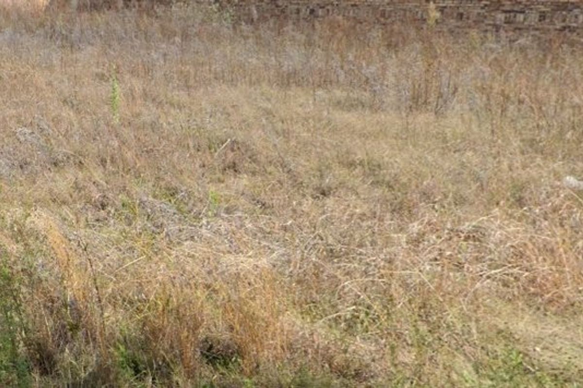 Vacant Land For Sale In Stilfontein - Photo 3