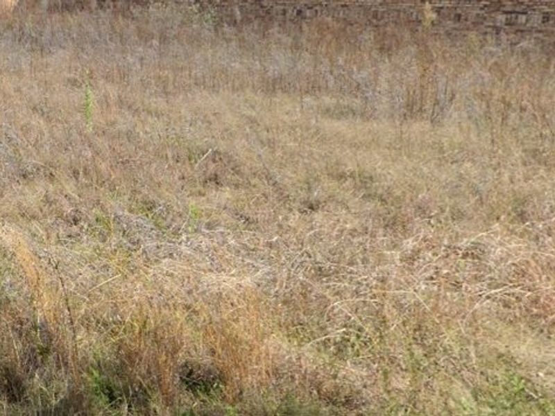 Vacant Land For Sale In Stilfontein - Photo 3