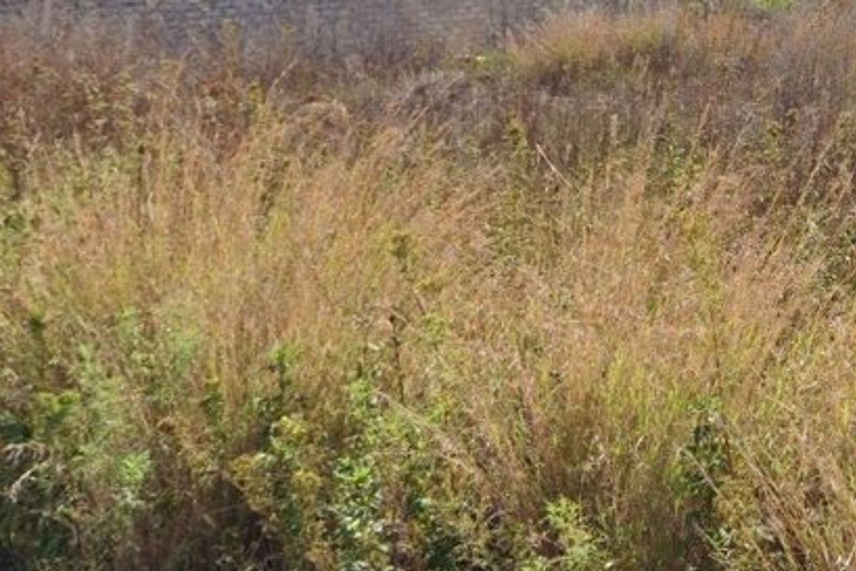 Vacant Land For Sale In Stilfontein - Photo 2