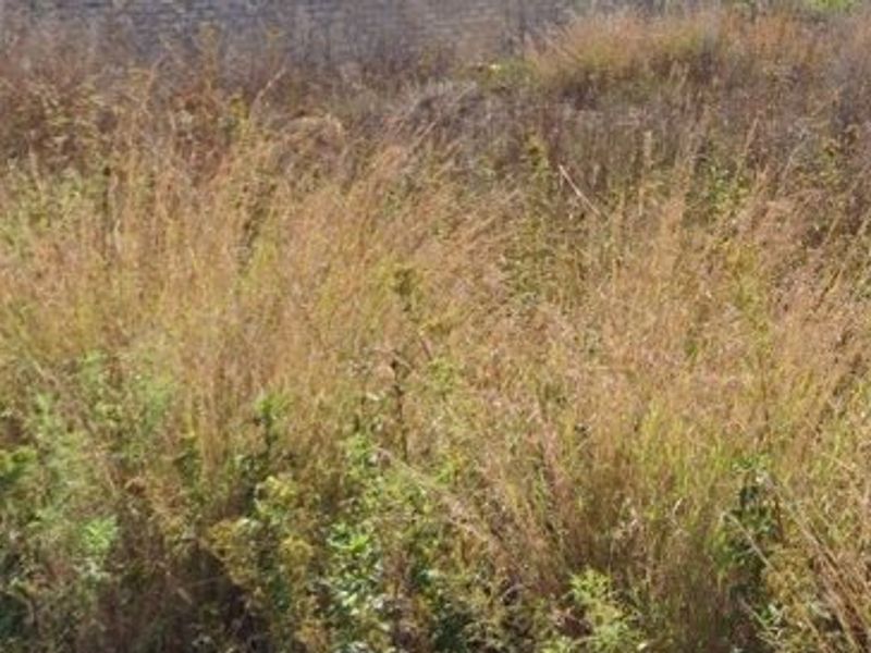 Vacant Land For Sale In Stilfontein - Photo 2