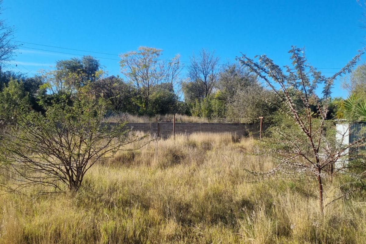 A view of a vacant residential plot featuring overgrown grass, mature trees, and a boundary wall at the rear.