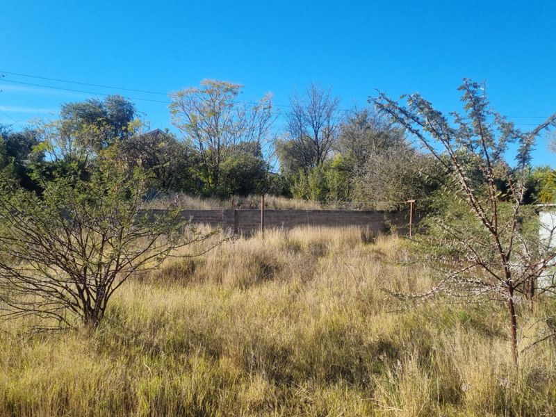 A view of a vacant residential plot featuring overgrown grass, mature trees, and a boundary wall at the rear.