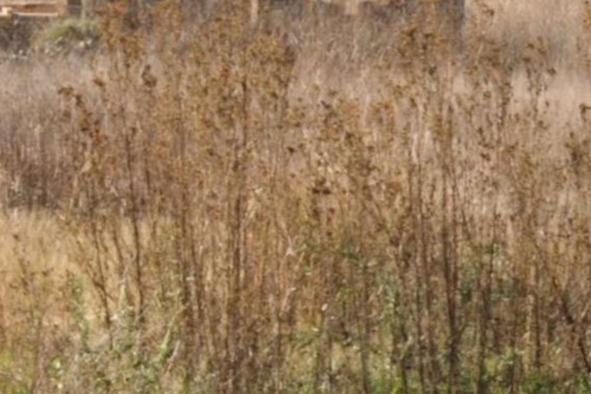 2 Vacant Land For Sale In Stilfontein - Photo 2