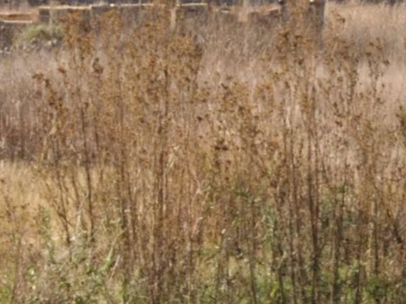 2 Vacant Land For Sale In Stilfontein - Photo 2