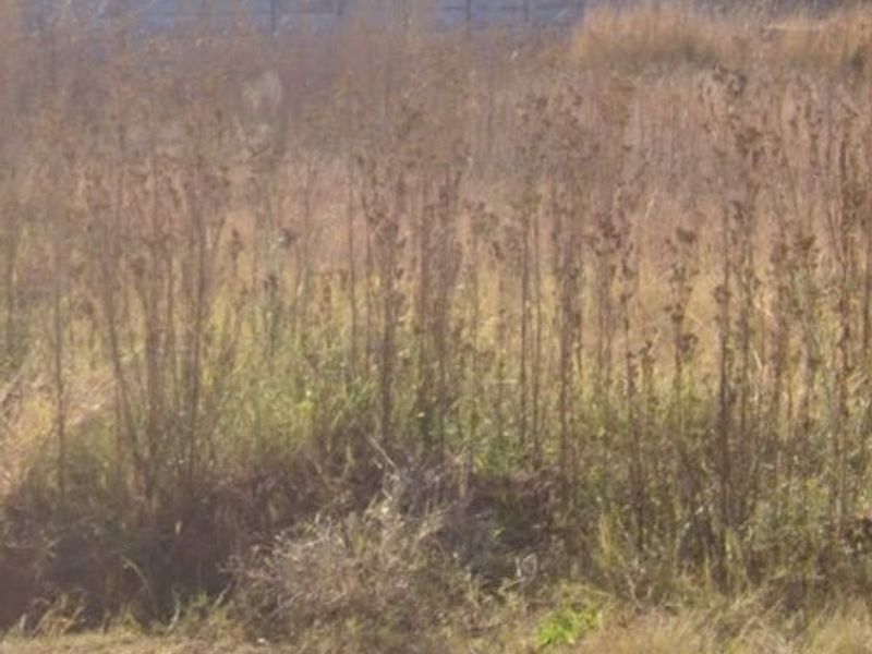 2 Vacant Land For Sale In Stilfontein - Photo 3