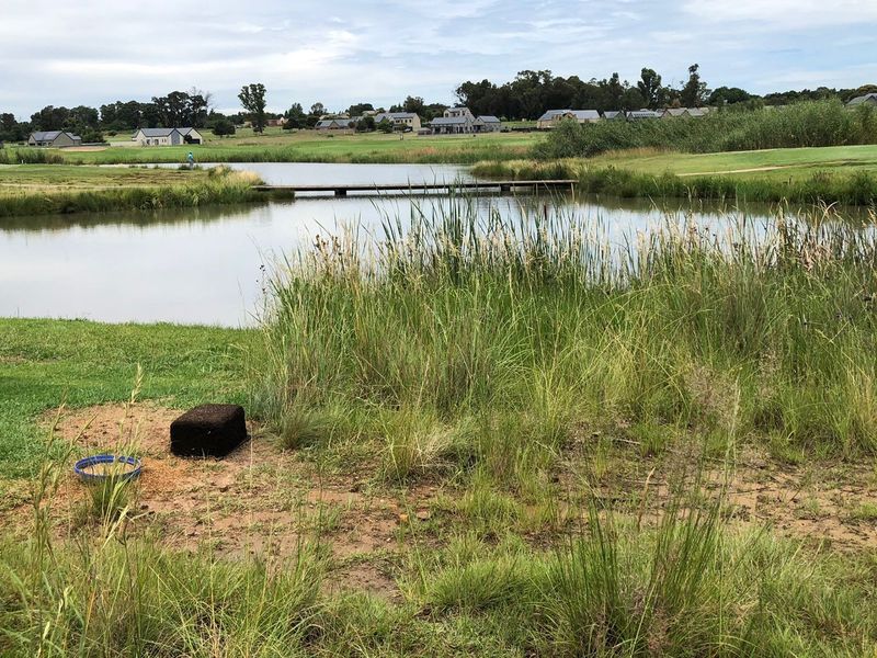 Gorgeous stand on Heron Banks Golf Estate - Photo 9