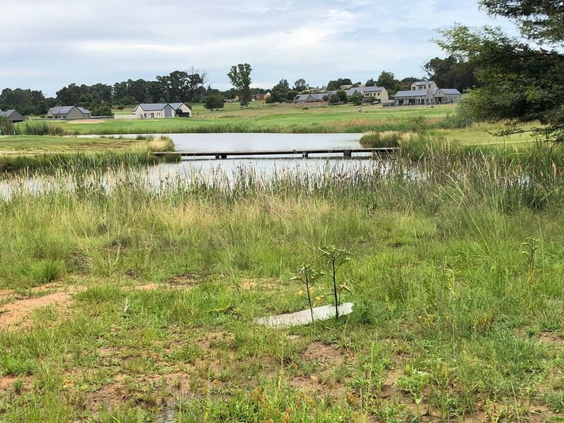 Gorgeous stand on Heron Banks Golf Estate - Photo 6