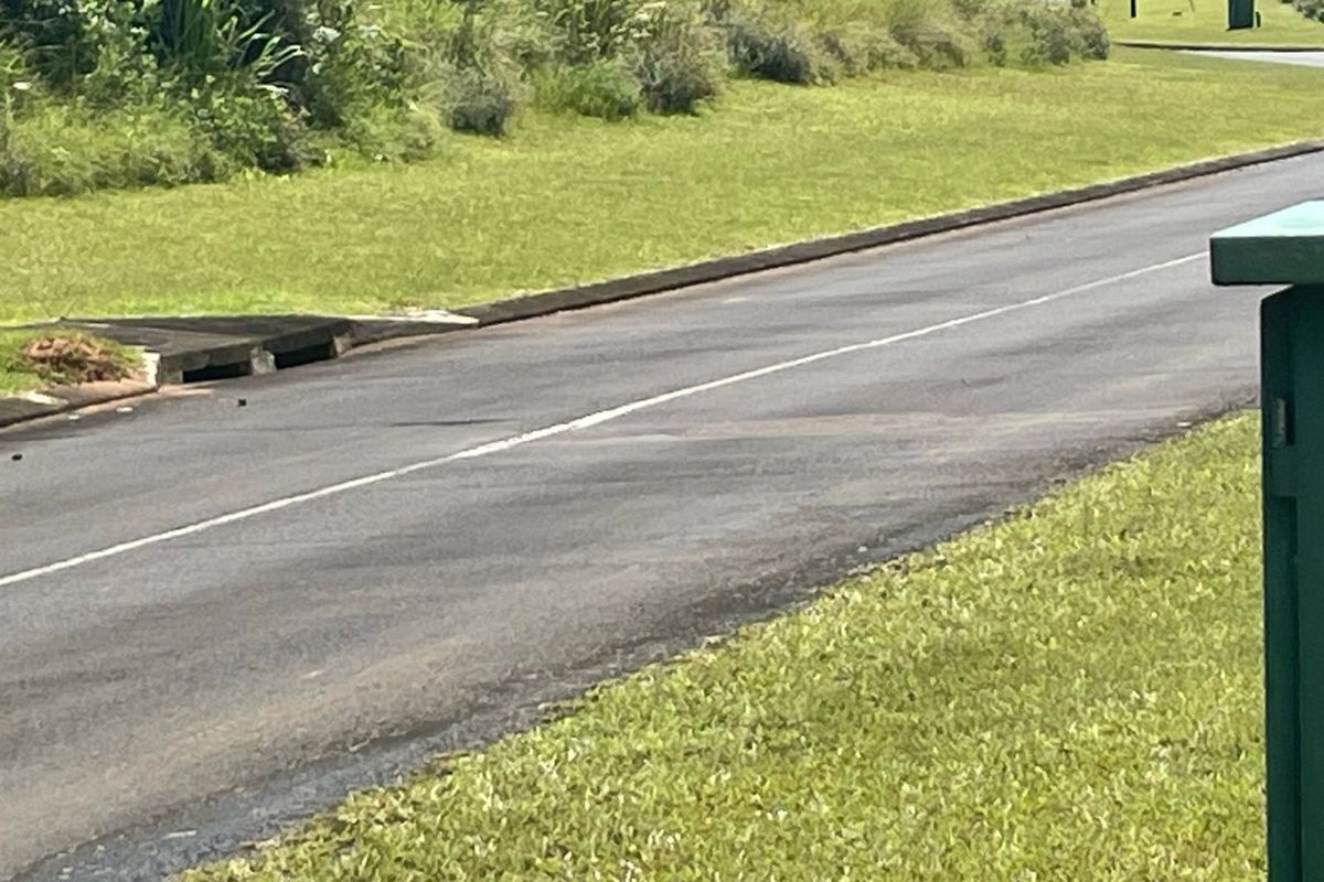 Build Your Dream Home In A Secure Estate - Photo 4