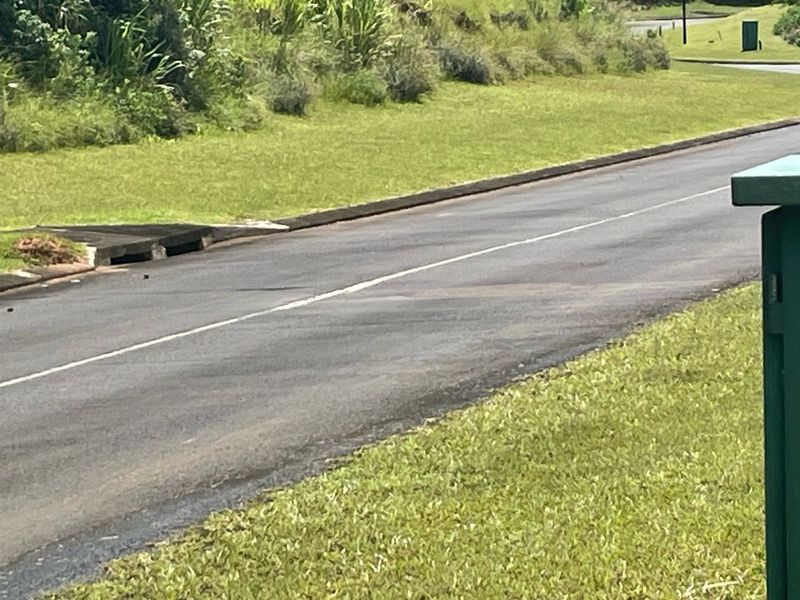 Build Your Dream Home In A Secure Estate - Photo 4