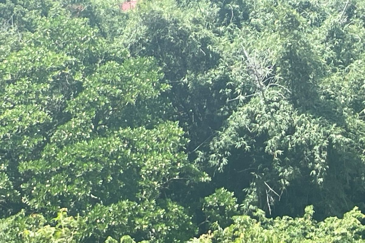 Build Your Dream Home In A Secure Estate - Photo 5