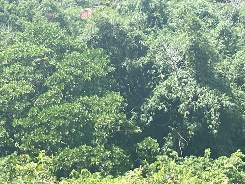 Build Your Dream Home In A Secure Estate - Photo 5