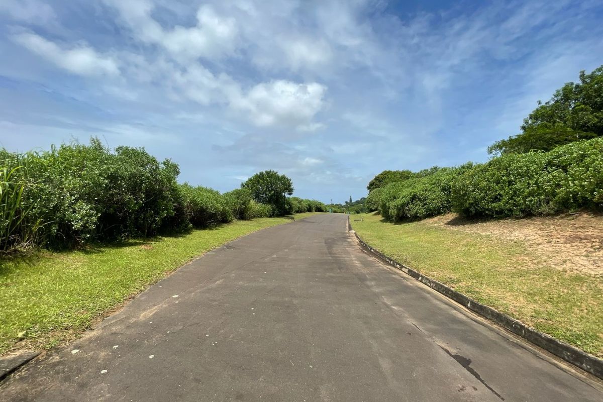 A view of a paved residential street with well-maintained grass verges and established shrubbery lining the road.