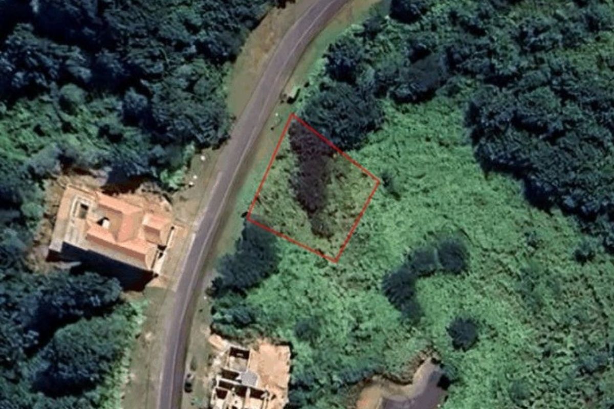 Aerial view of a vacant residential plot of land surrounded by dense vegetation and adjacent to a paved road.
