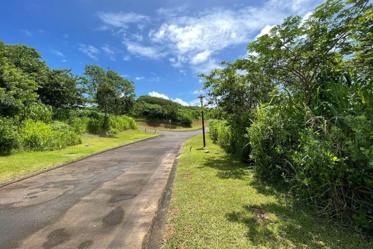 A view of a paved residential street with established landscaping and street lighting, showcasing the access and surroundings of the vacant land.