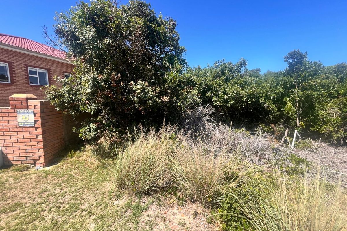 Vacant Land Just Steps from the Beach in Paradise Beach - Photo 3