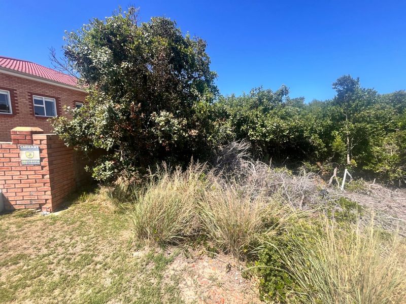 Vacant Land Just Steps from the Beach in Paradise Beach - Photo 3
