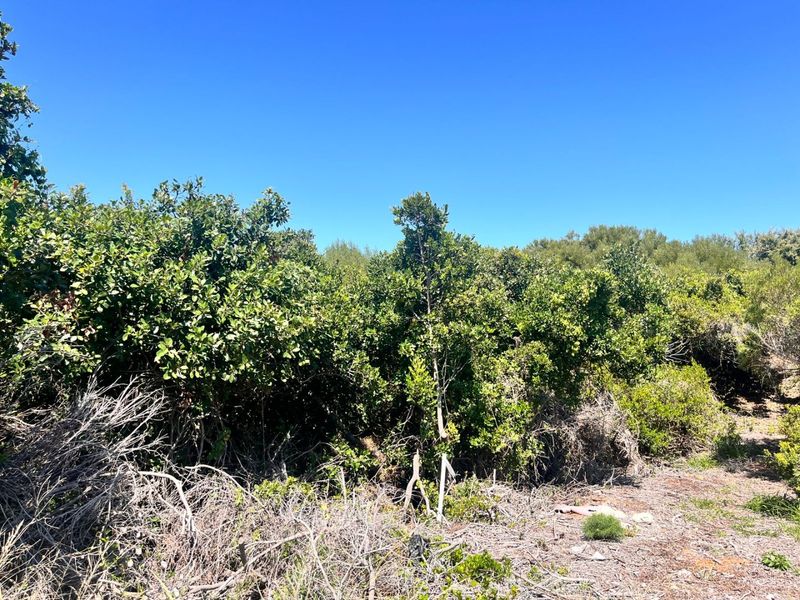 Vacant Land Just Steps from the Beach in Paradise Beach - Photo 6
