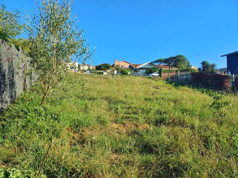 Vacant Stand with Beautiful Mountain Views - Photo 6