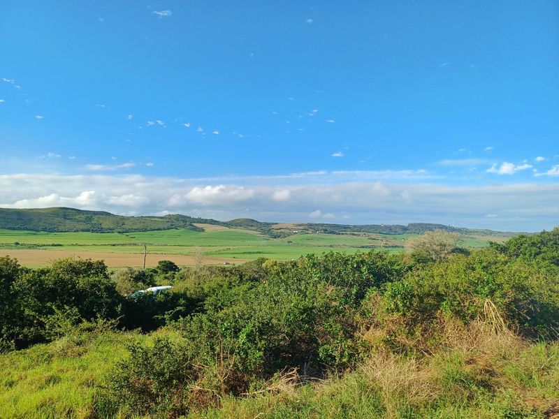 Vacant Stand with Beautiful Mountain Views - Photo 7