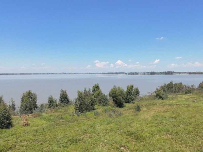 A scenic view of a large body of water from the vacant residential land, featuring natural grassy terrain and native trees along the shoreline.