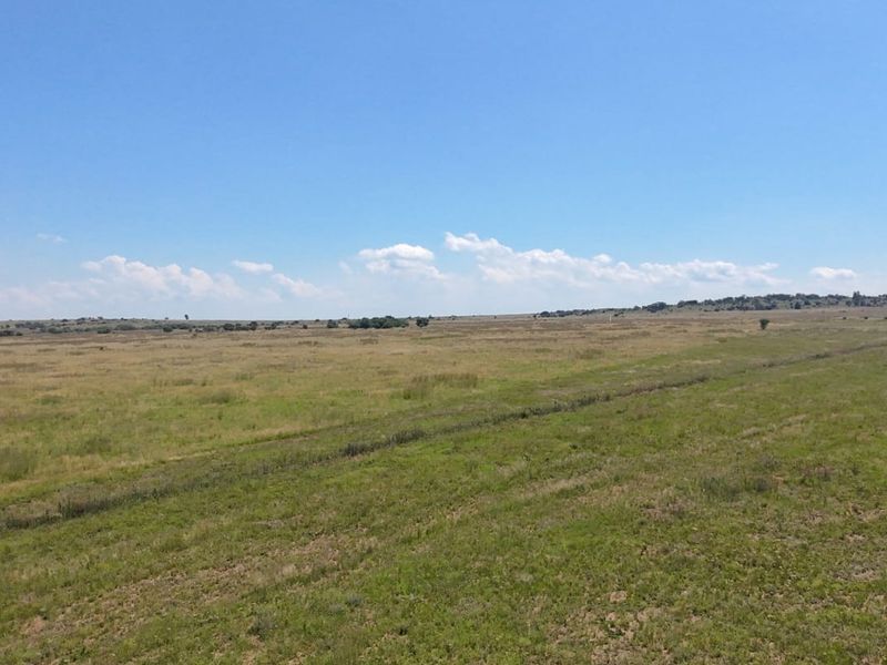 A wide, open expanse of vacant residential land featuring natural grassland under a clear blue sky.