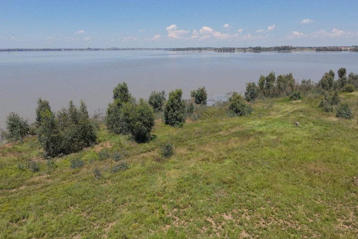 An aerial view of a vacant residential plot featuring natural vegetation and direct waterfront access.