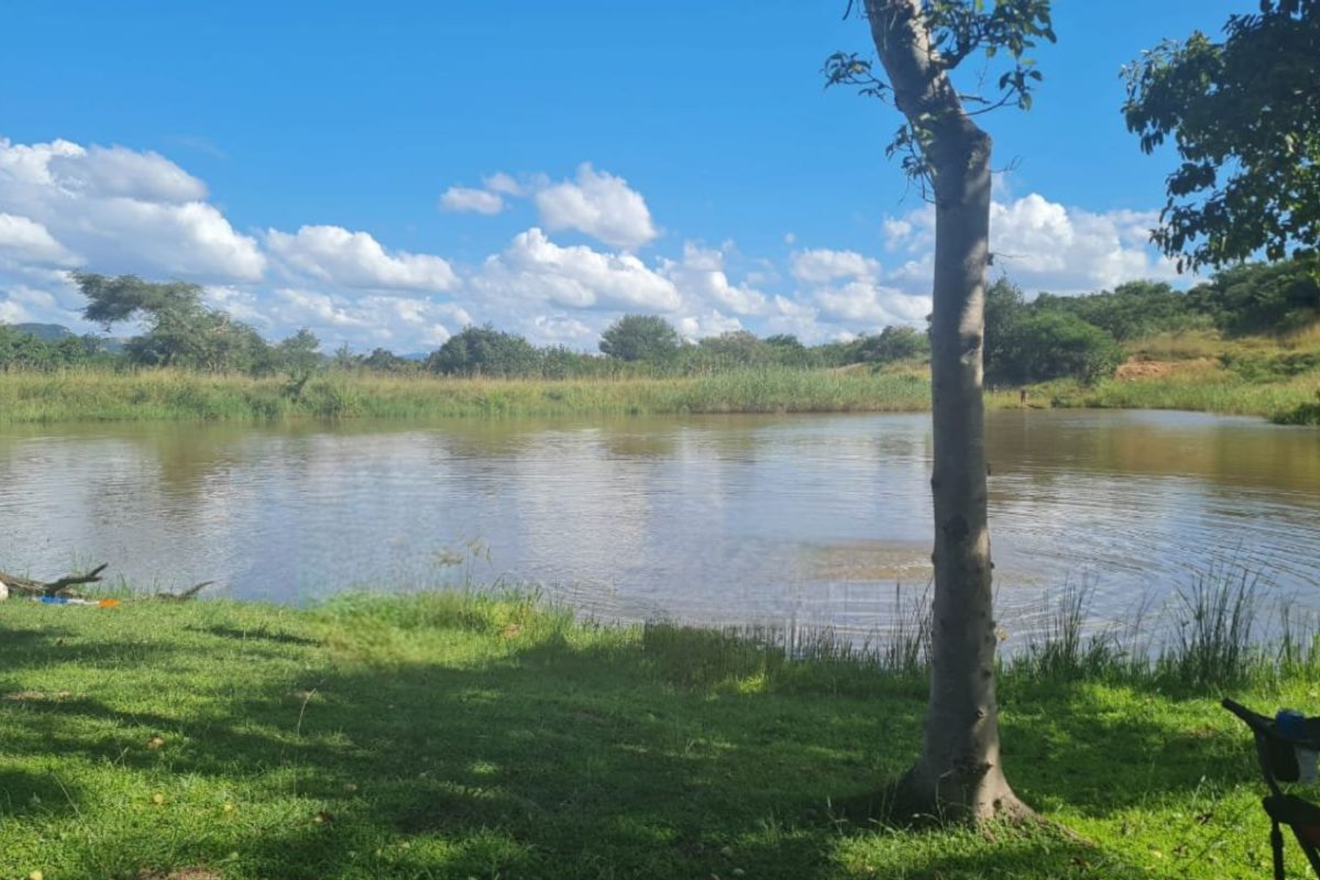 Vacant Stand In Sought After Wild Fig Country Estate  - Photo 5