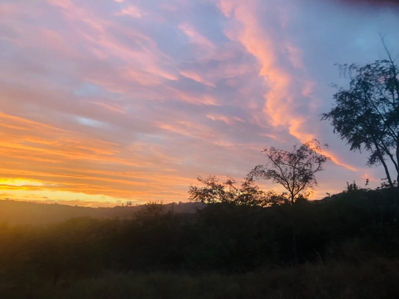 Vacant Stand In Sought After Wild Fig Country Estate  - Photo 9