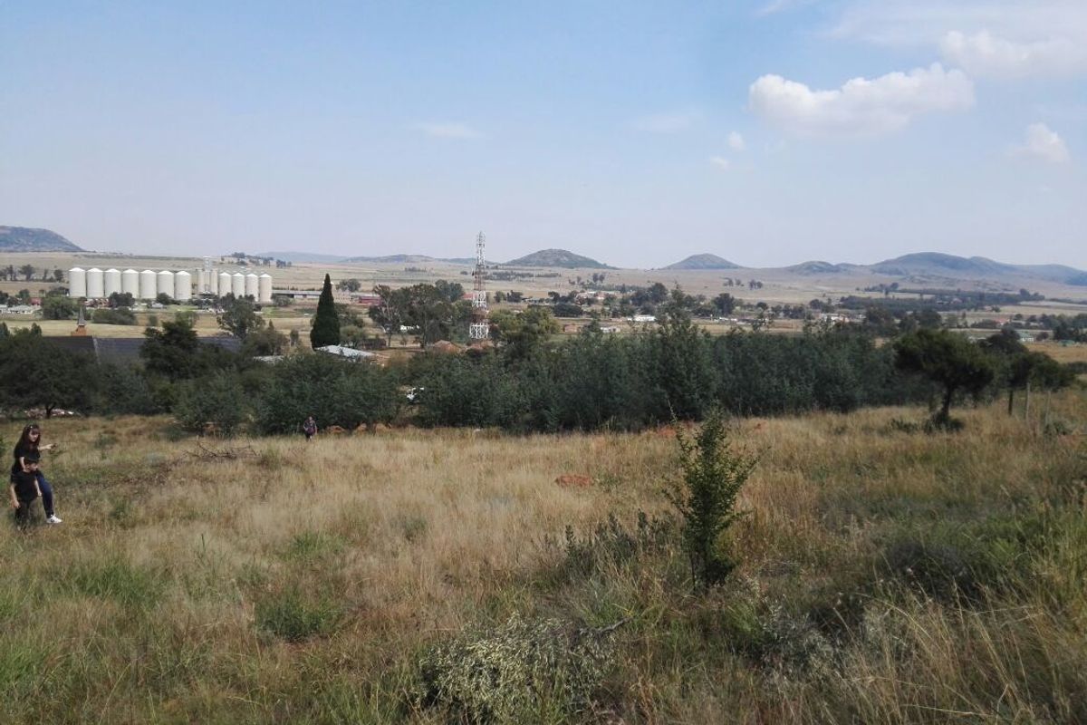 Deceased Estate – Large 2 142?m2 Vacant Stand for Sale in Willemsdal, Greylingstad, Mpumalanga - Photo 5