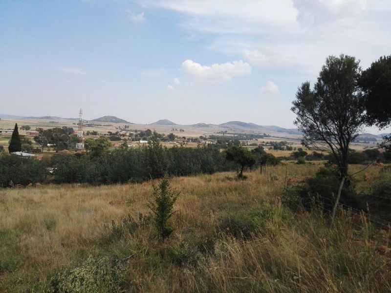 Deceased Estate – Large 2 142?m2 Vacant Stand for Sale in Willemsdal, Greylingstad, Mpumalanga - Photo 4