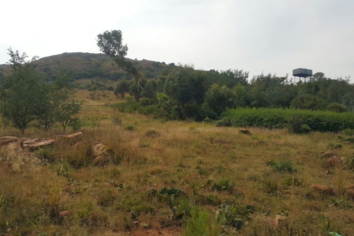 Deceased Estate – Large 2 142?m2 Vacant Stand for Sale in Willemsdal, Greylingstad, Mpumalanga - Photo 2