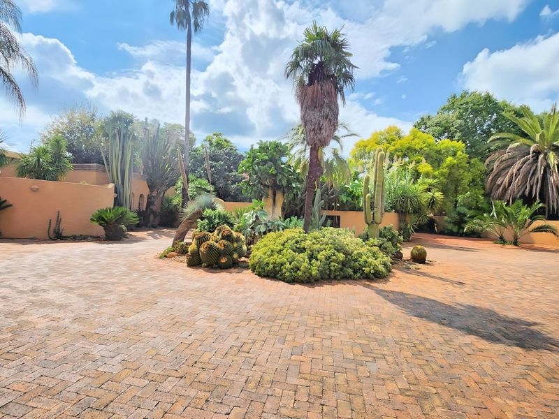 Eclectic & Spacious 4-Bedroom Home with Pool and Ample Parking – A Perfect Blend of Character and Comfort! - Photo 7