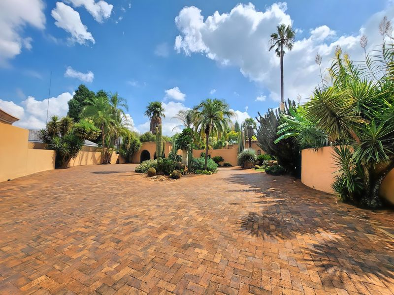 Spacious front courtyard featuring extensive brick paving, established garden beds with mature palms and cacti, and secure perimeter boundary walls.