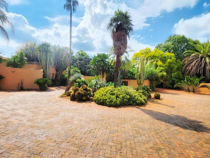 A spacious front courtyard featuring extensive brick paving, established garden beds, and mature palm trees, providing a welcoming entrance to the property.