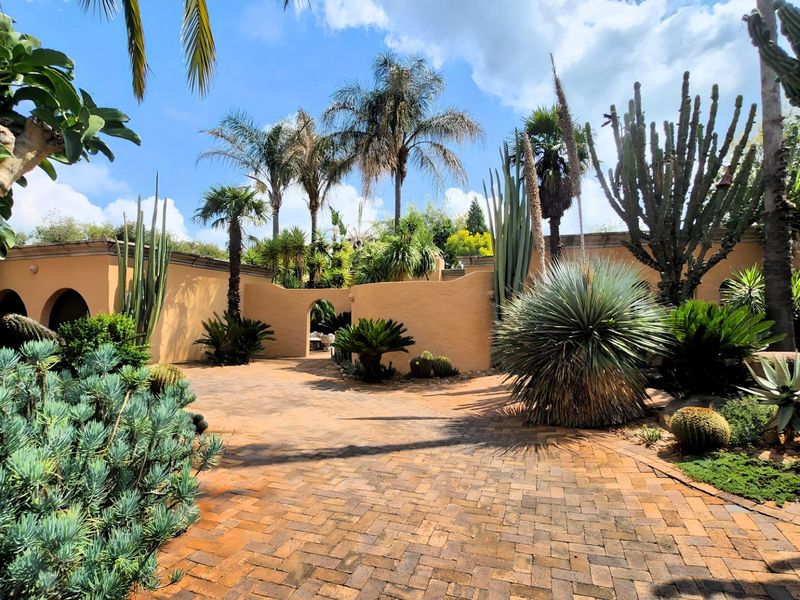 A beautifully landscaped garden featuring a brick-paved courtyard, mature cacti, palm trees, and stucco boundary walls with an arched entrance.