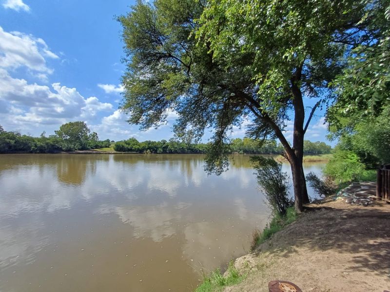 A scenic view of the river frontage featuring mature trees and natural landscape, providing a peaceful outdoor setting on the farm property.