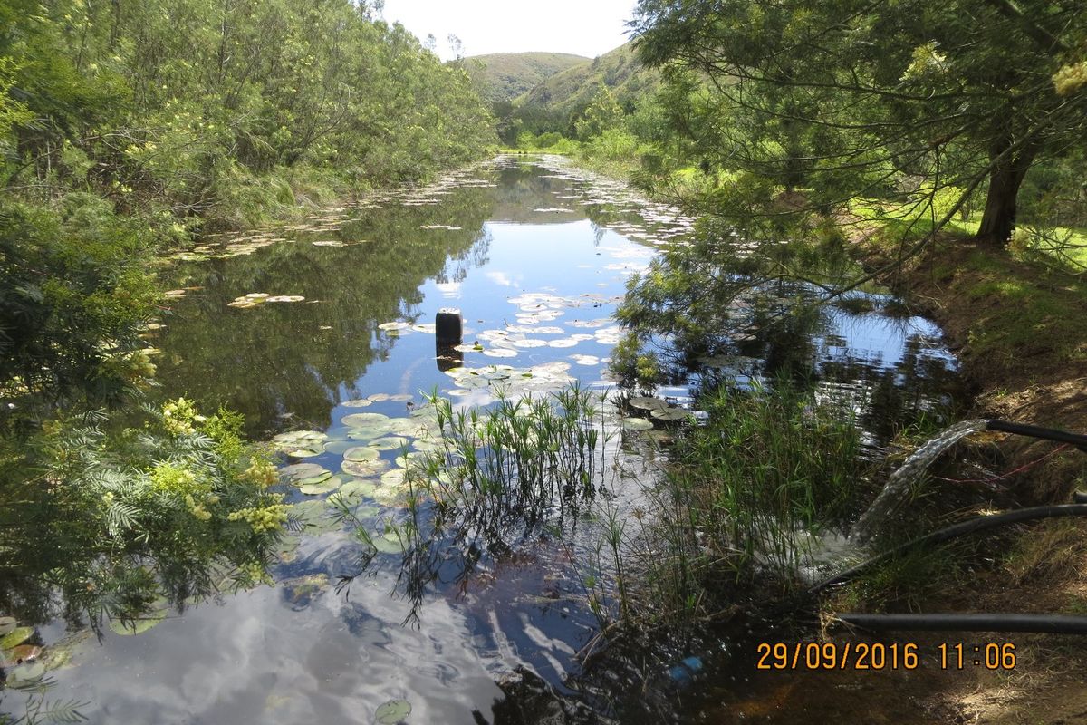 FRUIT, VEGETABLE AND CATTLE FARM - GARDEN ROUTE - Photo 2